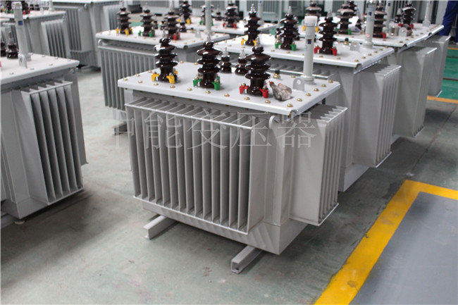 海南S22-100KVA/10KV/0.4KV变压器